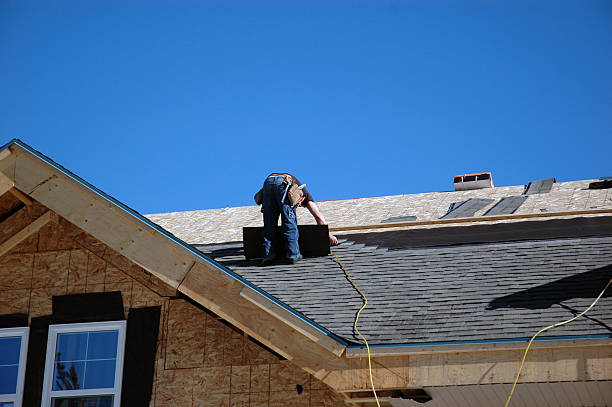 Best Roof Moss and Algae Removal  in Craig Beach, OH